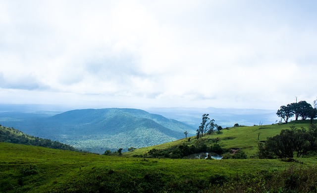 穆里尼奥：比赛中会高度关注格里马尔多；德迪奇已经准备好上场