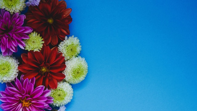 F1车手市场最新动向：哈贾尔顺利取代角田裕毅，红牛阵容迎来重要调整